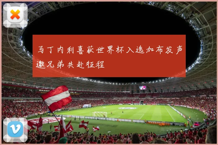 马丁内利喜获世界杯入选加布发声邀兄弟共赴征程